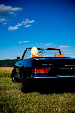 Mercedes-Benz W113 230sl