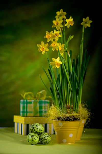 Easter feeling — Stock Photo, Image