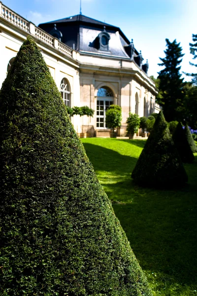 Park av slottet Pillnitz — Stockfoto