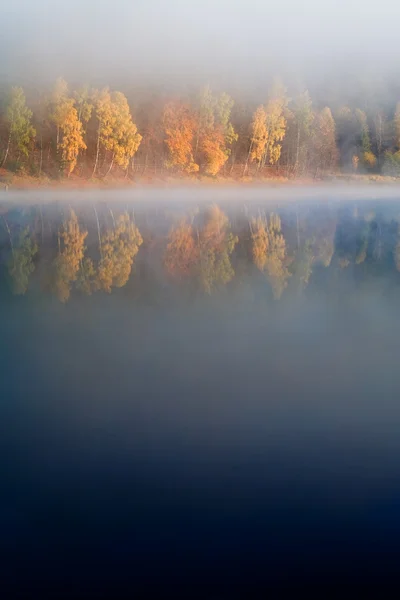Озеро рано утром — стоковое фото