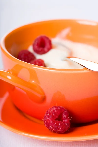Pudding with raspberries — Stock Photo, Image