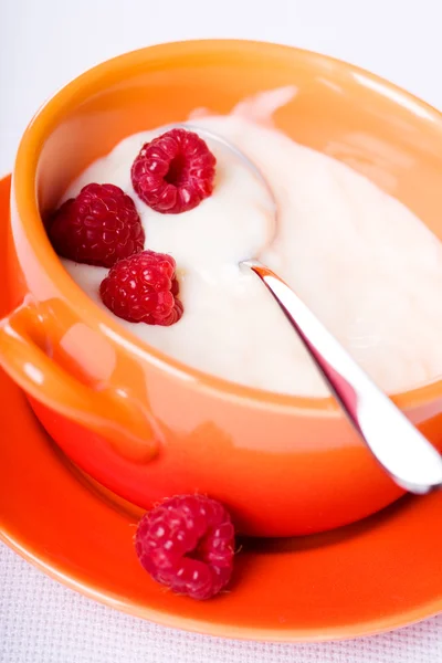 Pudding with raspberries — Stock Photo, Image