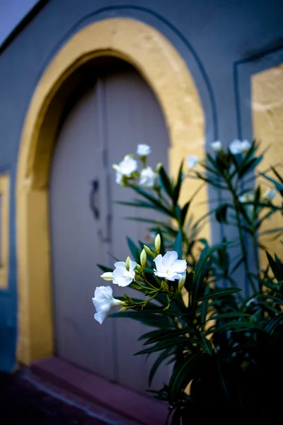 Alte Tür in der Altstadt — Stockfoto