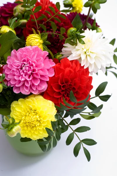 Bouquet Dahlias — Photo