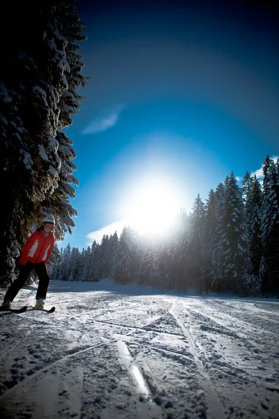 Alfinete de esqui — Fotografia de Stock