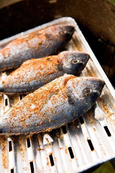 stock image Grilled fish