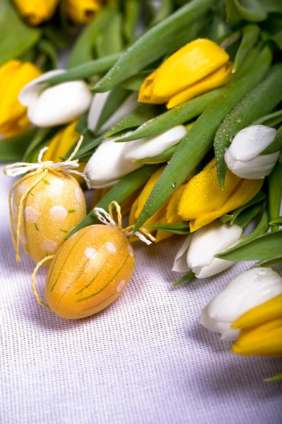 Grono tulipany — Zdjęcie stockowe