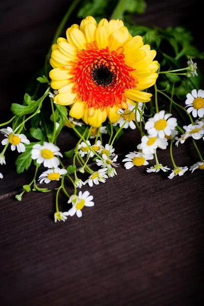 Strauß Frühlingsblumen — Stockfoto