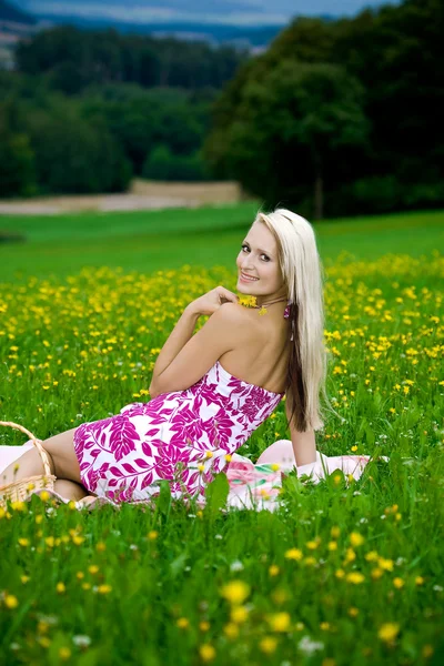 Picnic on the meadow — Stock Photo, Image