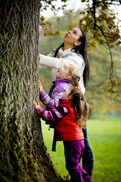 Familia joven en el parque de otoño — Foto de Stock