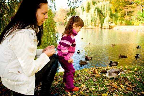 年轻的家庭，在秋天的公园 — 图库照片
