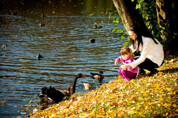 Молода сім'я в осінньому парку — стокове фото