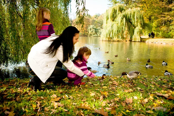 Junge Familie im Herbstpark — Stockfoto