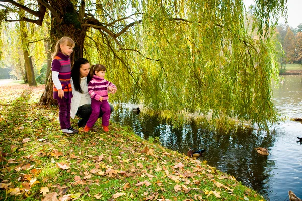 Νεαρή οικογένεια στο πάρκο φθινόπωρο — Φωτογραφία Αρχείου