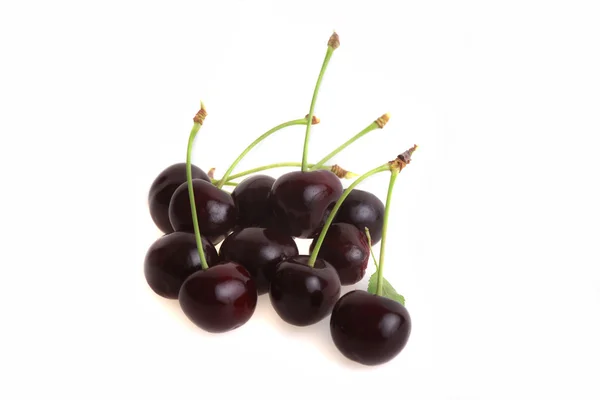 stock image Cherries