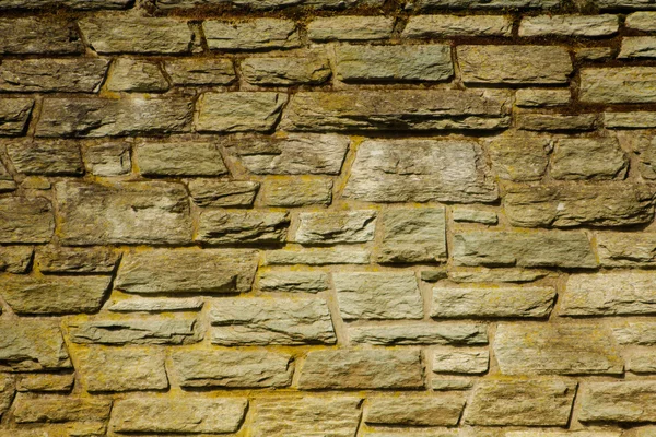 Slate wall texture — Stock Photo, Image