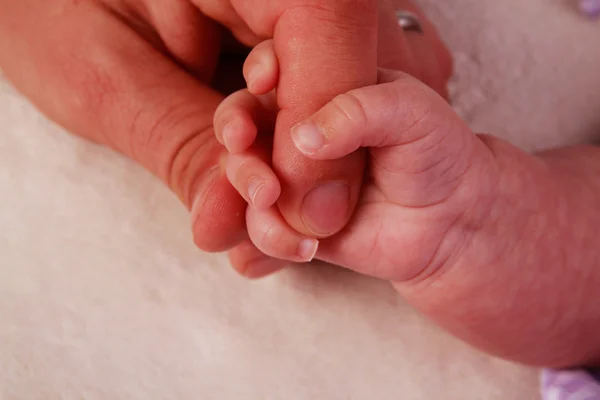 stock image Baby hand