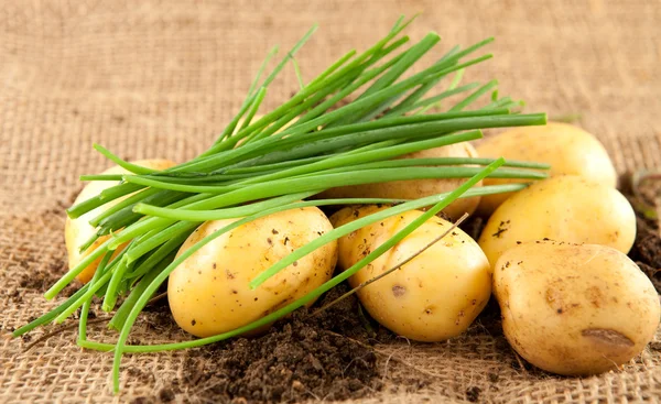 Aardappelen en bieslook — Stockfoto