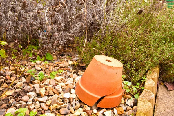 Terracotta pot — Stock Photo, Image