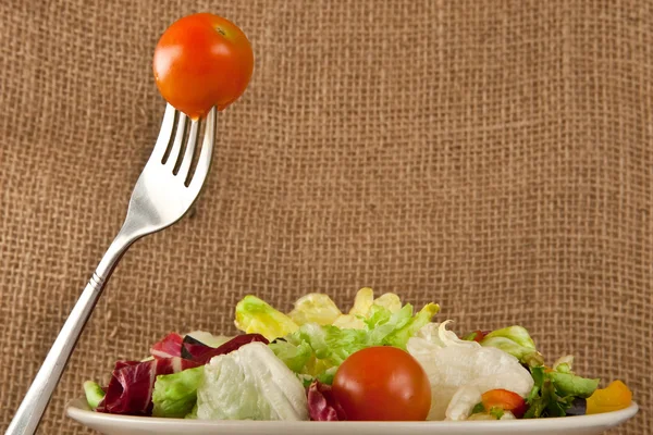 Salad — Stok Foto