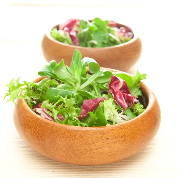 Salat — Stockfoto