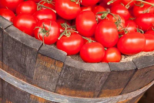 Verse rode tomaten — Stockfoto