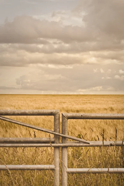 農場のゲート — ストック写真