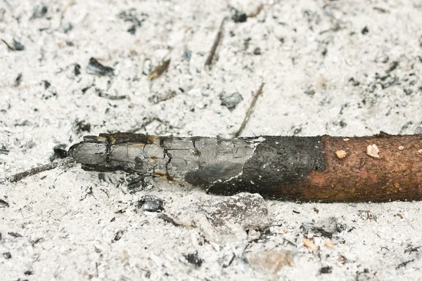 A burnt log — Stock Photo, Image