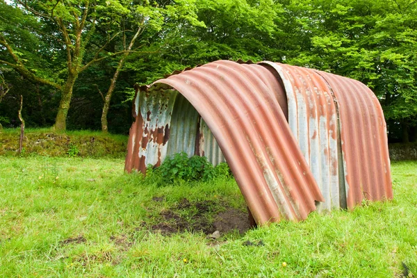 Świnia chaty — Zdjęcie stockowe