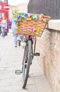 Lady's bike clipart