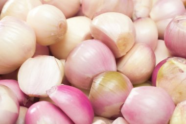 Shallots clipart