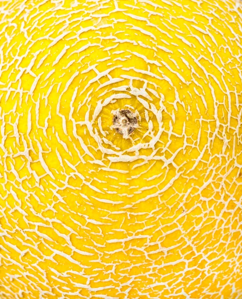 Pele de melão — Fotografia de Stock