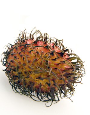 beyaz arkaplanda rambutan