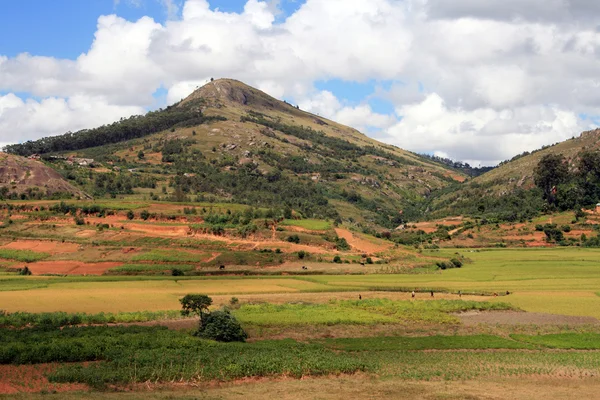 Сельская местность Мадагаскара — стоковое фото