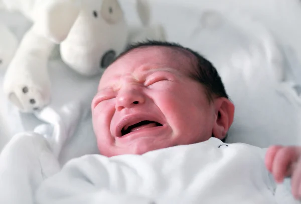 Bebê recém-nascido vermelho com raiva — Fotografia de Stock