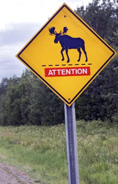 Moose Crossing clipart