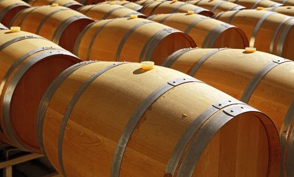 New barrels for wine — Stock Photo, Image