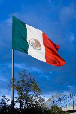 büyük Meksika bayrağı 1