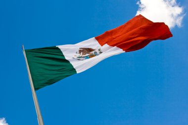 Mexican flag 2 clipart