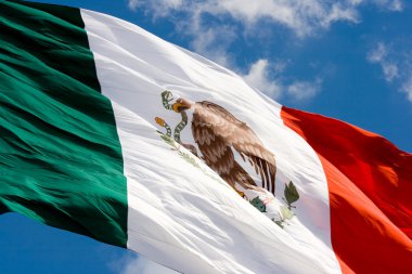 Mexican flag in blue sky clipart