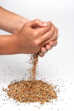 Birdseed and hands clipart