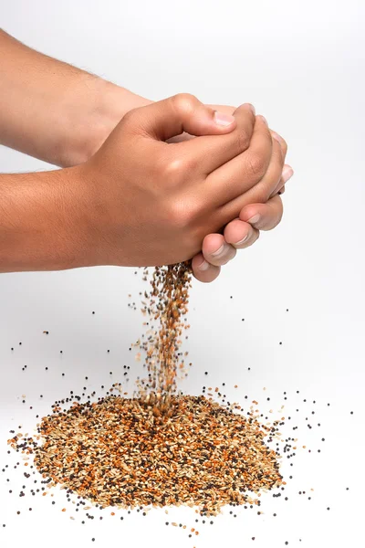 Birdseed and hands — Stock Photo, Image