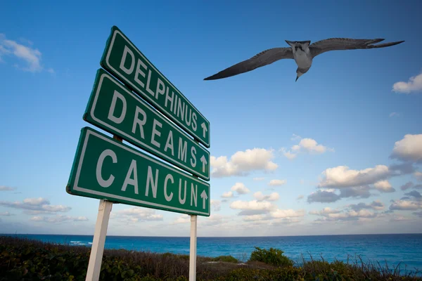 Cancun sny — Stock fotografie