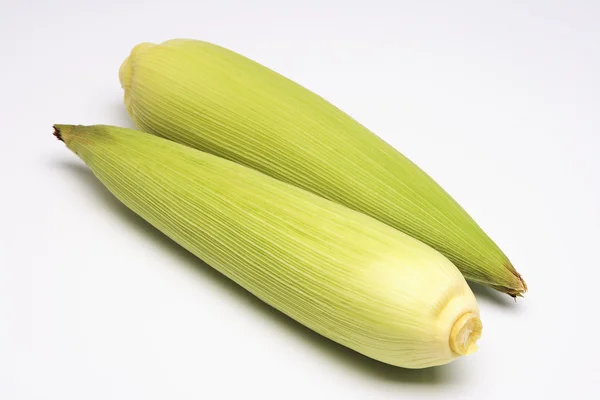 Two corns on the cobs — Stock Photo, Image