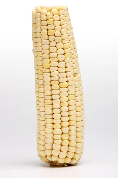 Кукурудза на коб — стокове фото