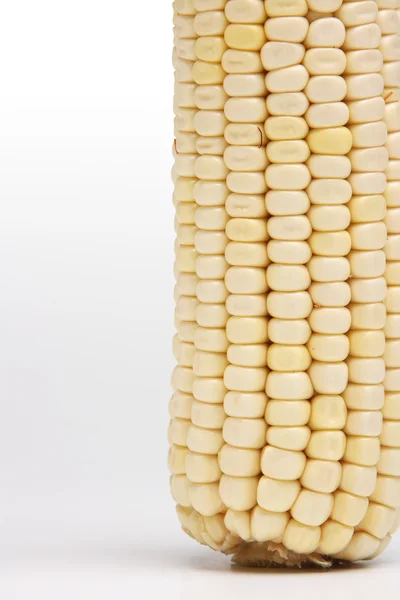 Corn on the cob close-up — Stock Photo, Image