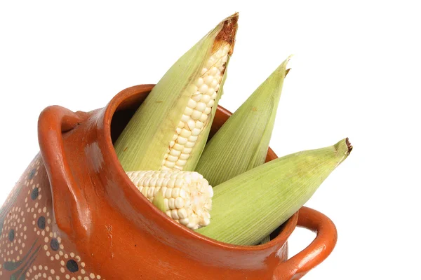 Corns on the cobs in pot 3 — Stock Photo, Image
