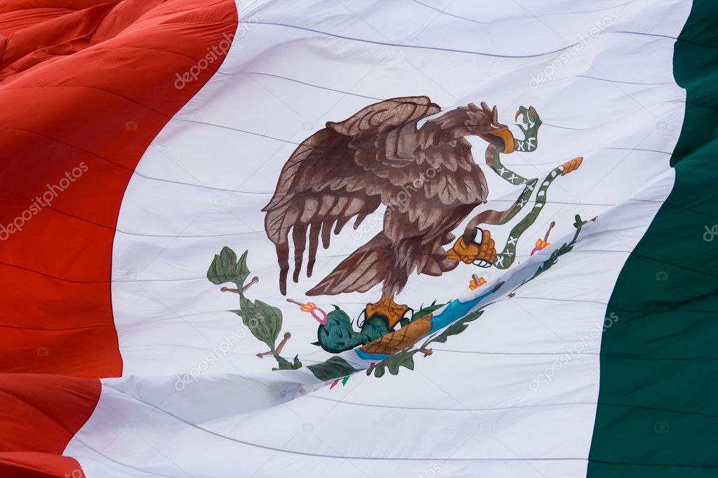 Mexico aguila fotos de stock, imágenes de Mexico aguila sin royalties |  Depositphotos