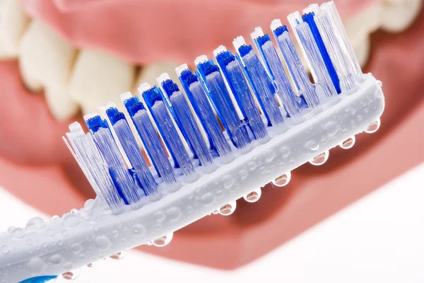 Tandheelkundige schimmel en tandenborstel 2 — Stockfoto