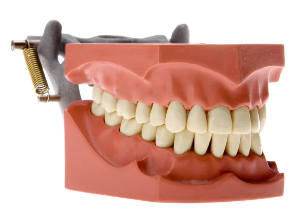 Molde dental 3 — Foto de Stock